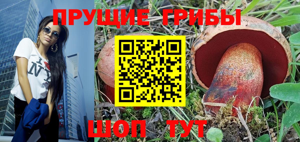 как найти закладки  Вход с VPN  Нурлат  Псилоцибиновые грибы мицелий 